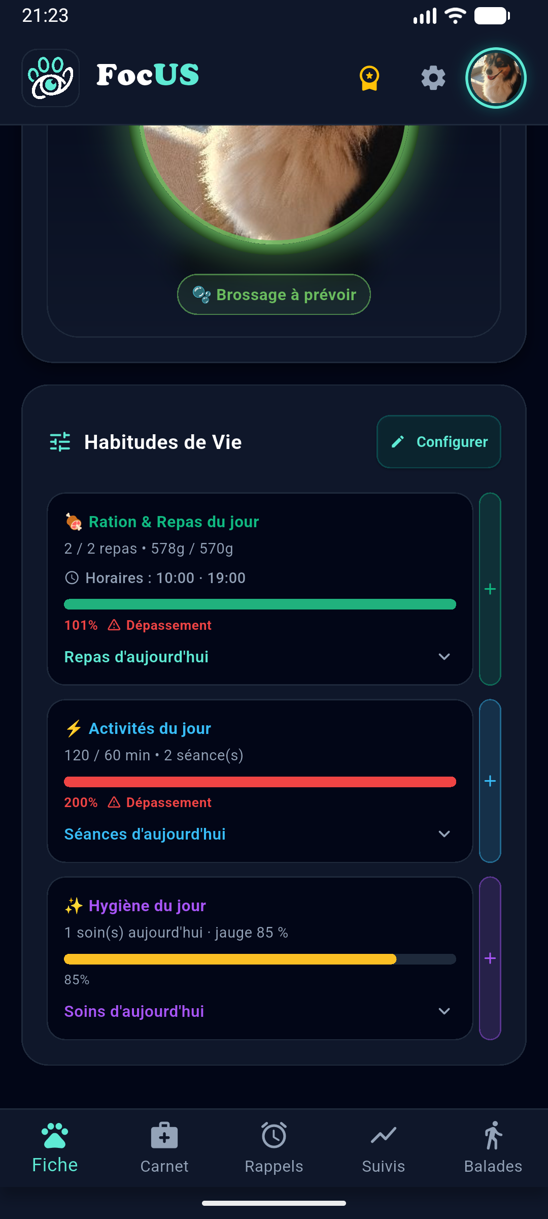 Carnet de Santé & Rappels